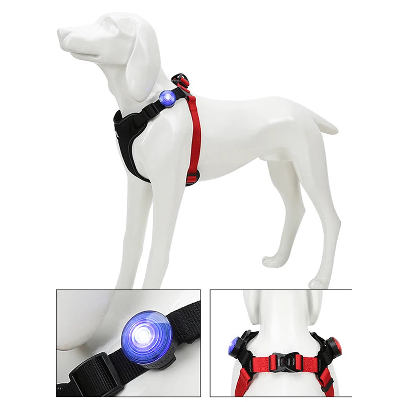 Winhyepet Pet Safety LED Light Dog Accessories Waterproof IP65 for Pet Wear Collar Harness Luminous Bright Guide Lights